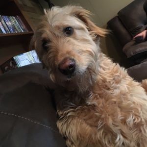 Meet your Posher, John